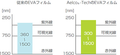 従来のEVAフィルムと高浸透EVAフィルムの違い